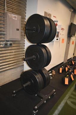 Rogue 6-place rolling free weight rack. With Rogue rubberized plate weights