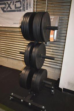 Rogue 6-place rolling free weight rack. With Rogue rubberized plate weights