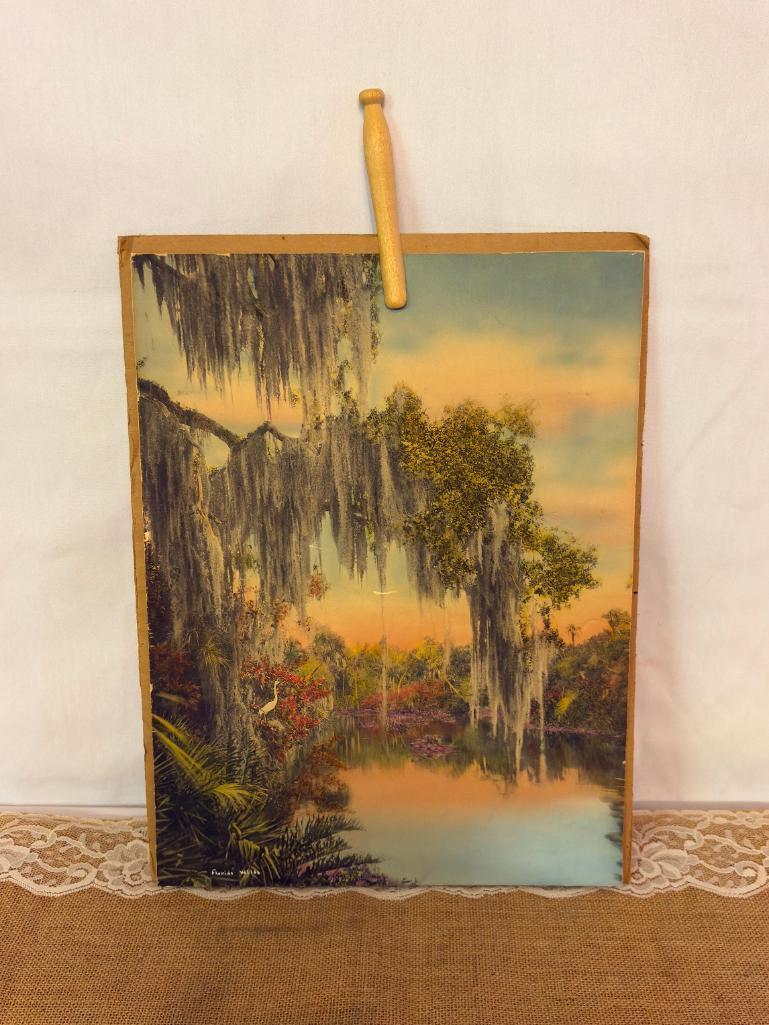 ANTIQUE "FLORIDA WILDS" PRINT 16" X 12"