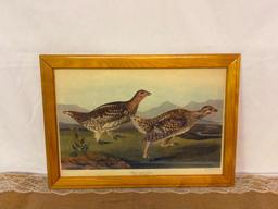 VINTAGE ART PRINT OF "SHARP-TAILED GROUSE" BY ARTIST JOHN JAMES AUDUBON, BROWN & WHITE