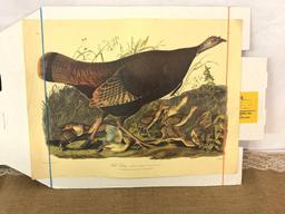 WILD TURKEY PRINT BY JOHN J AUDUBON, NO. 11/ PLATE V, 14.5" X 19.5"
