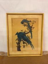 VINTAGE FRAMED ART PRINT OF COLUMBIA JAY BIRDS, ARTIST JOHN JAMES AUDUBON, NO. 20/ PLATE NO. 96