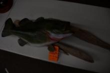 URETHANE LARGE MOUTH BASS MOUNTED ON DRIFTWOOD, 44"W X 12"H X 10 DEEP
