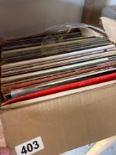 Record albums- garage