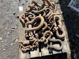 Anchor Shackles