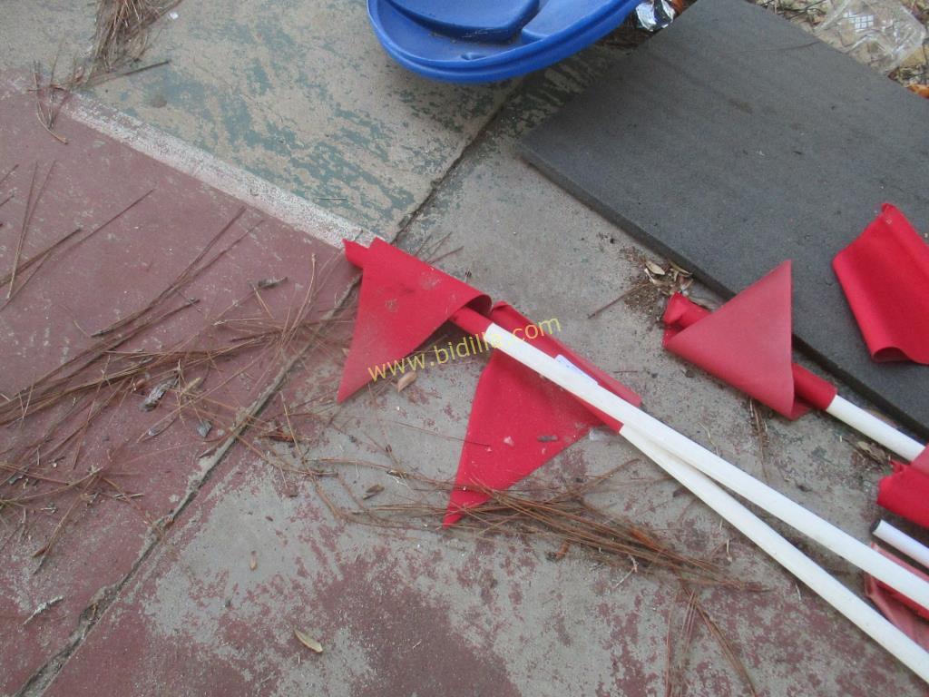 (12) Flags