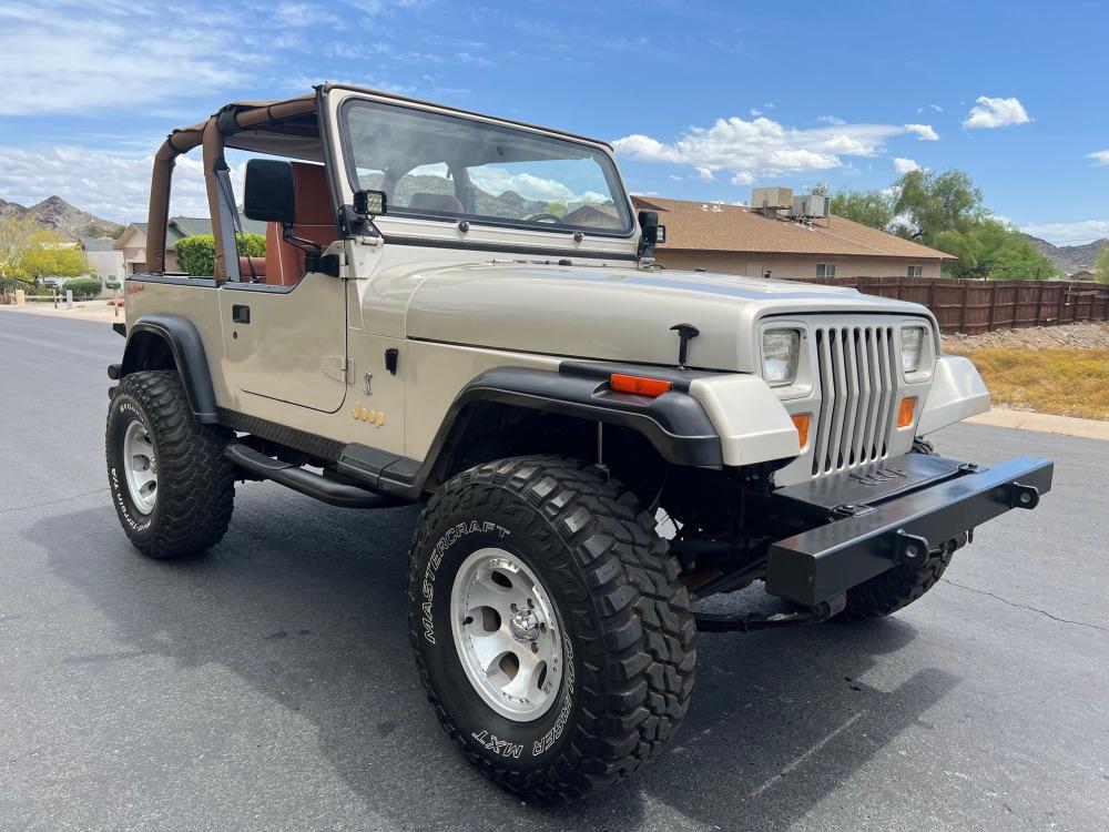 1995 Jeep Wrangler Rio Grande Custom SUV