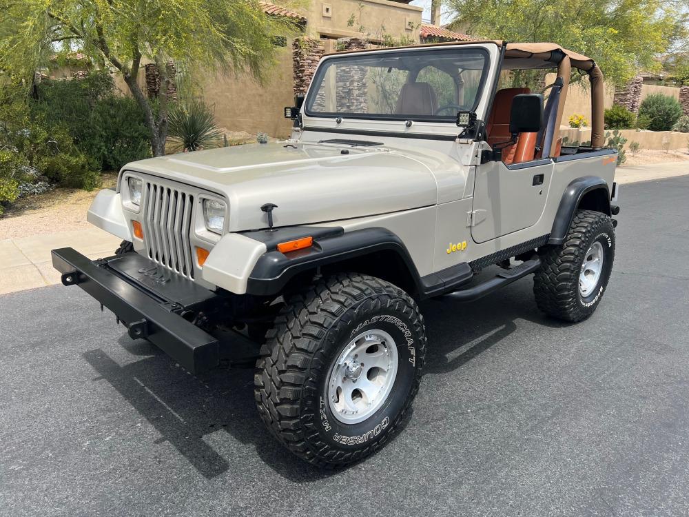 1995 Jeep Wrangler Rio Grande Custom SUV