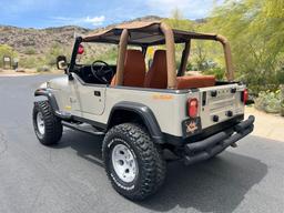 1995 Jeep Wrangler Rio Grande Custom SUV