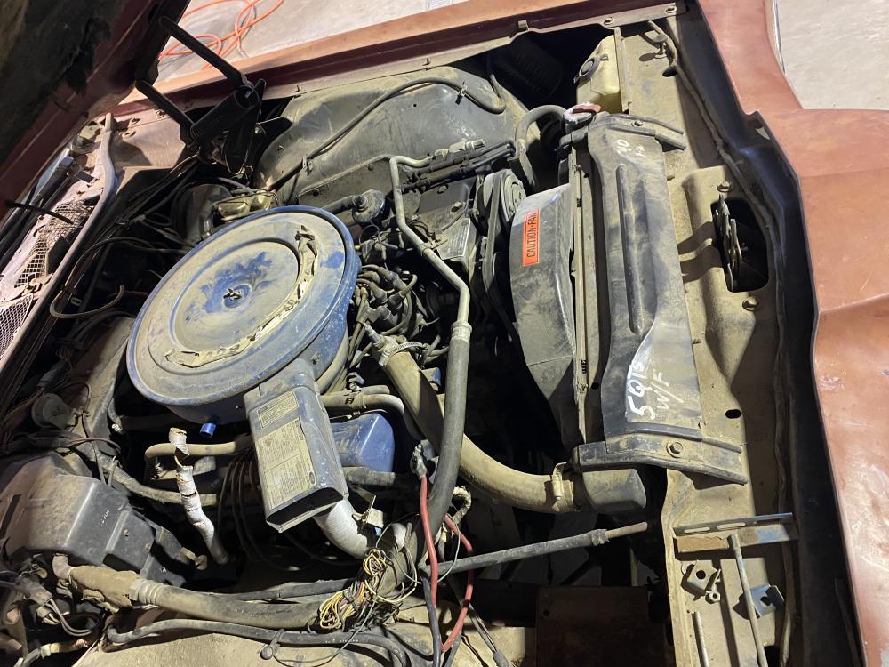 [NO RESERVE] Project Opportunity--1970 Ford Thunderbird