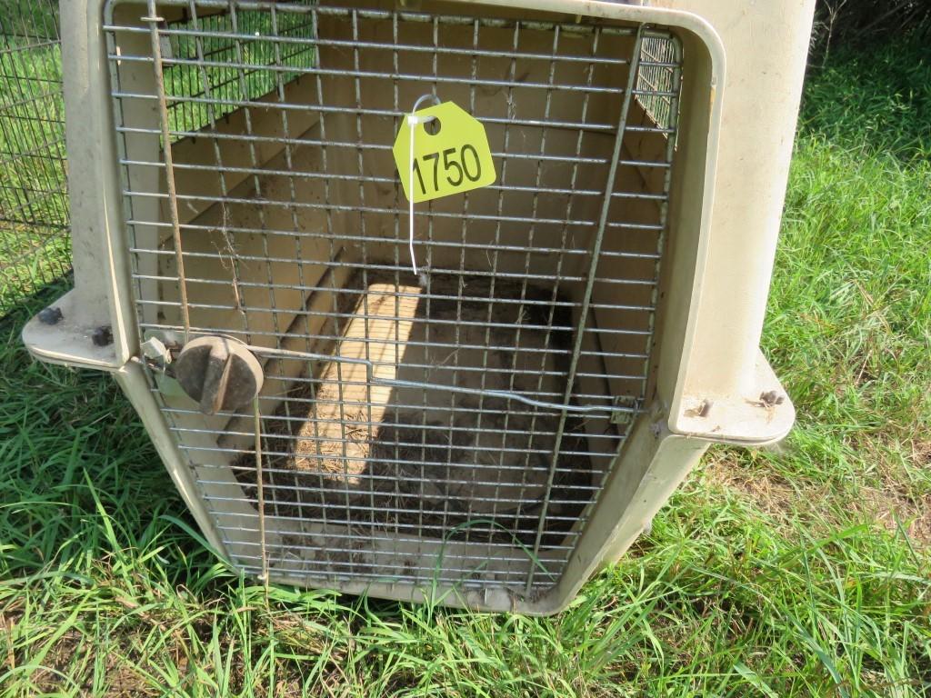 Large Dog Kennel