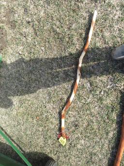 Walking Stick