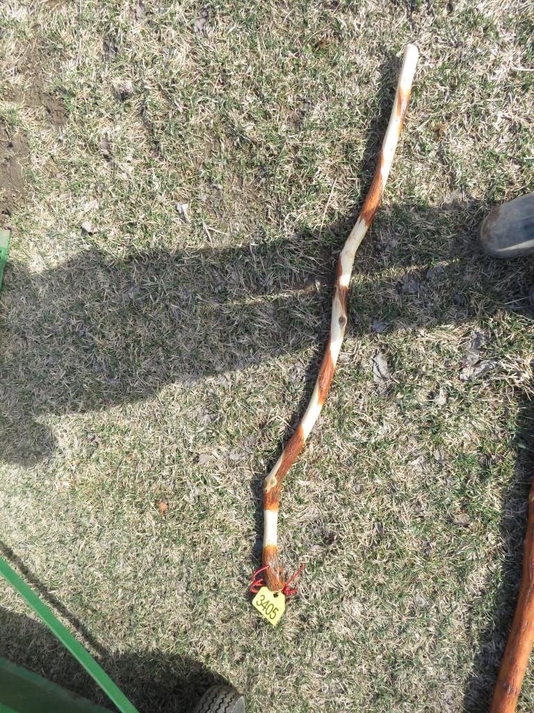 Walking Stick