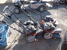 Gas Edger,