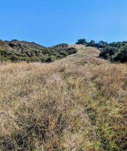 2500 SqFt Vacant Parcel in Topanga,