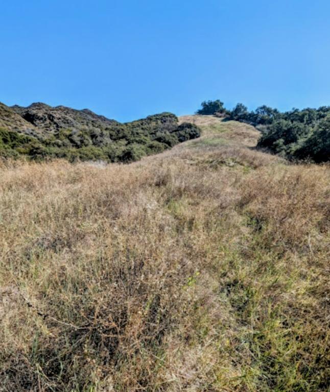 2500 SqFt Vacant Parcel in Topanga,