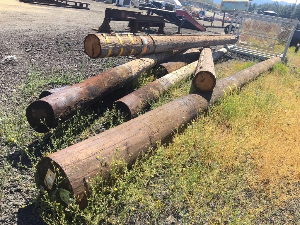 Lot of Misc Telephone Poles of Various Sizes.