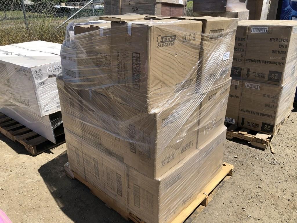 Pallet of Feit Electric 60W Chandlier Light Bulbs.