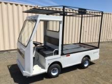 Taylor-Dunn B2-48 Utility Cart,