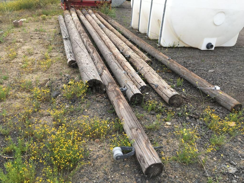 Lot of Telephone Poles Up to 23ft.