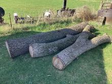 Black Walnut Logs