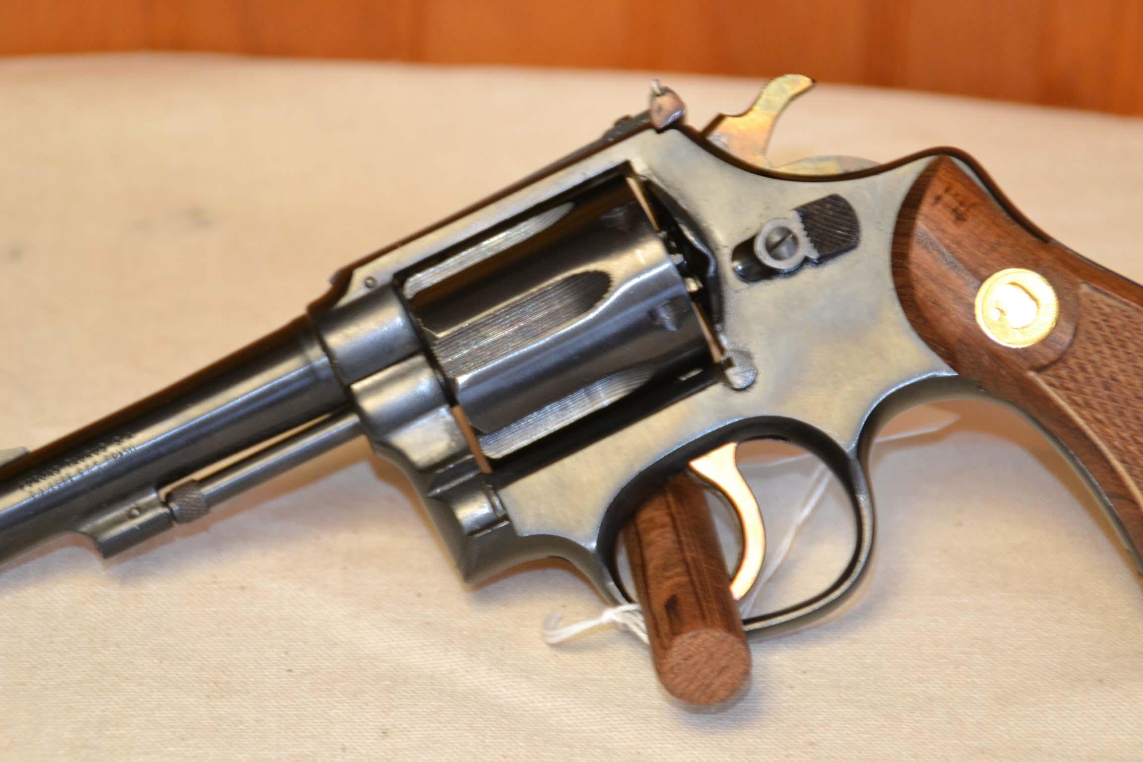 Taurus Falcon