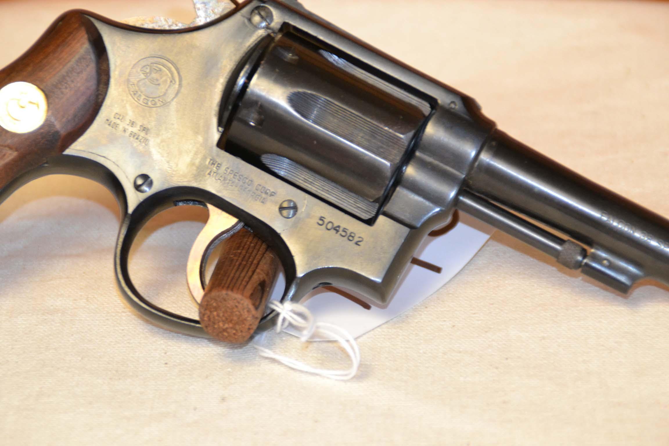 Taurus Falcon