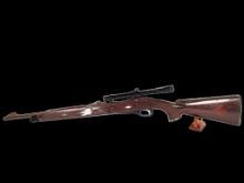 Remington Nylon 10, 22 Caliber Rifle with Bushnell Scope