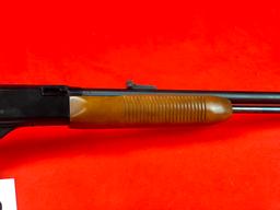 Remington 572 Fieldmaster, .22 S, L, LR, SN:A1806440