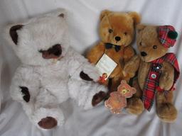 Fourteen mixed Bears:- includes Kenner 1984 Ewok's, Gund, Golden, Panda's,