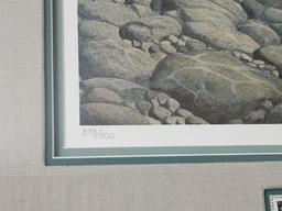 Limited Edition "trout In Woody Stream"