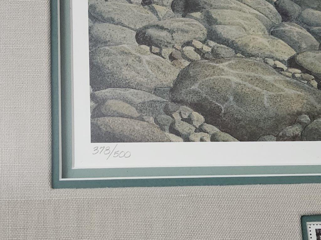 Limited Edition "trout In Woody Stream"