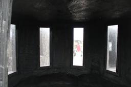 Nature Blind