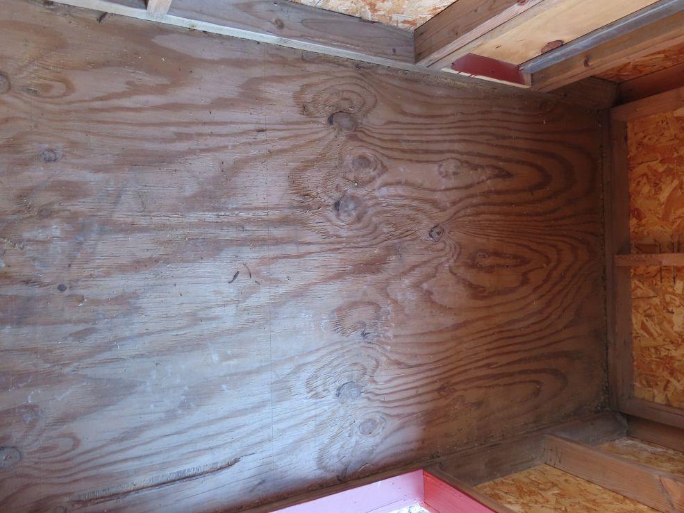 New Walk In Chicken Coop