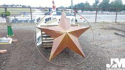 6' TIN STAR