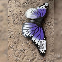 METAL BUTTERFLY