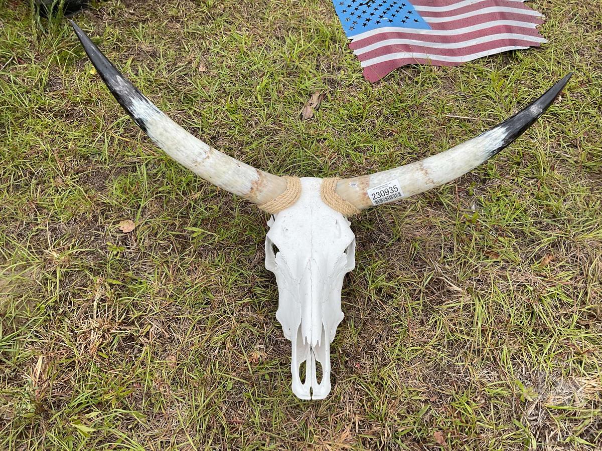 LONG HORN W/ SKULL