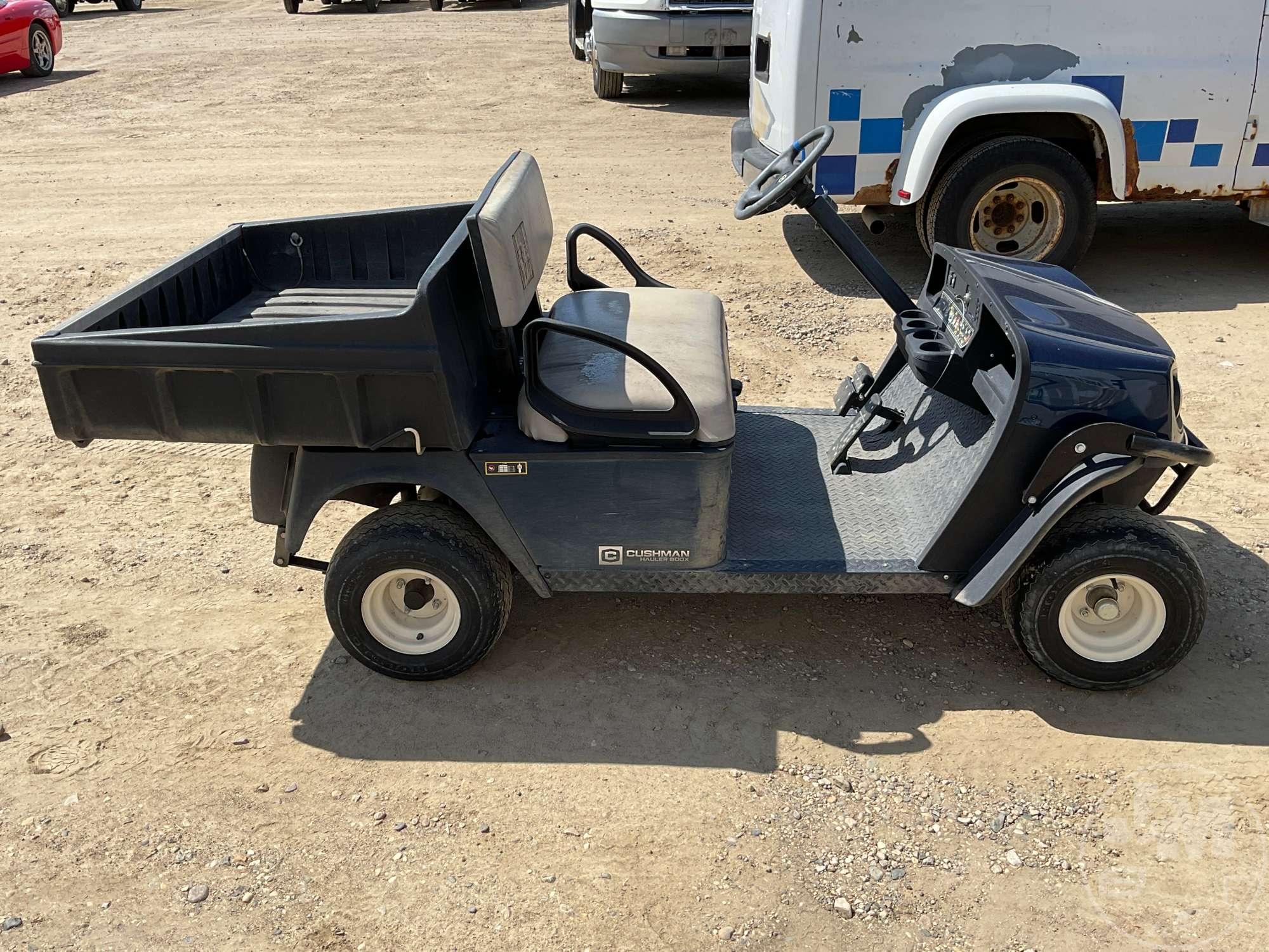 2018 CUSHMAN 800X 3324033