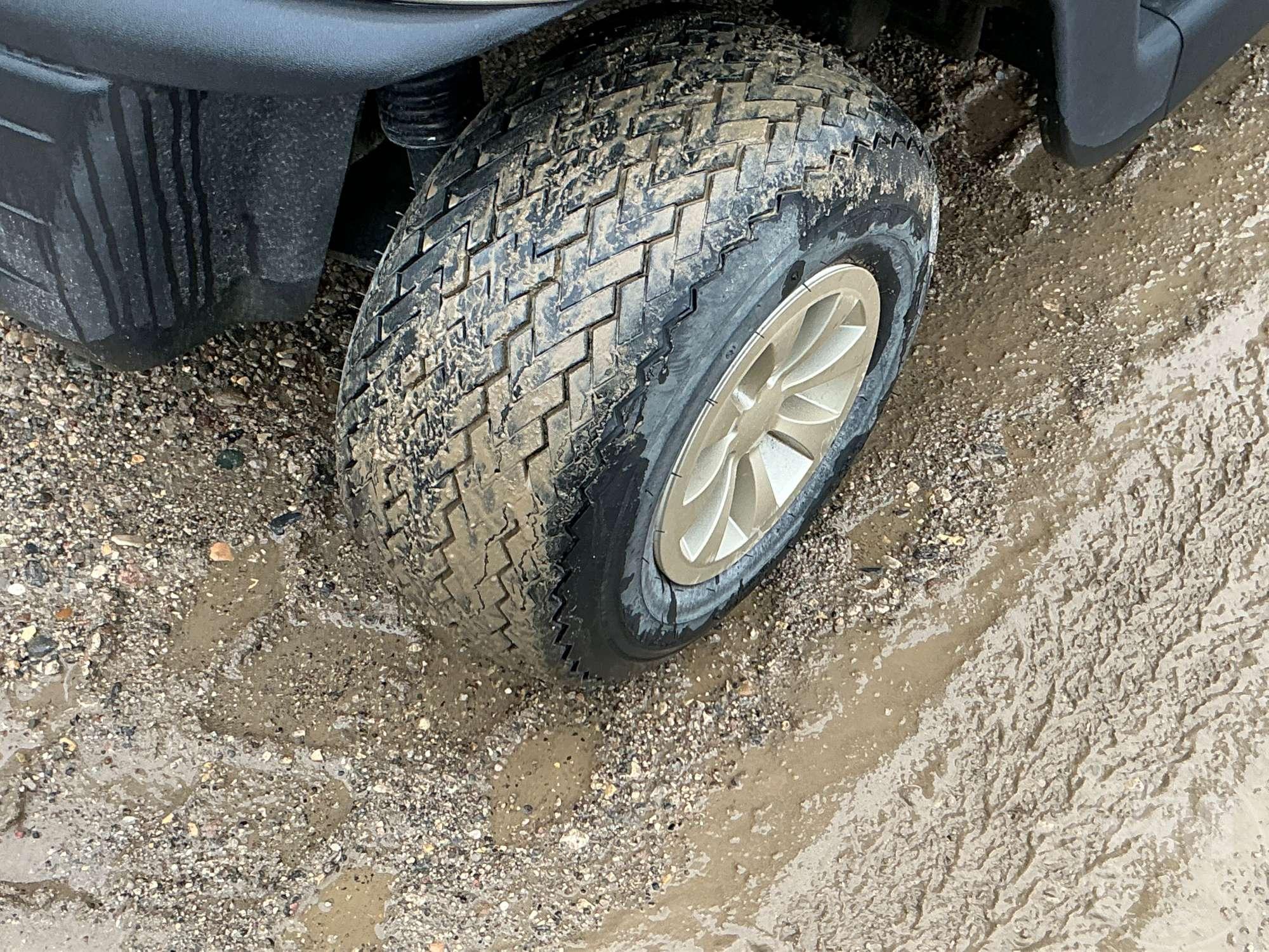 2019 EZ GO RXV GOLF CART 5506315