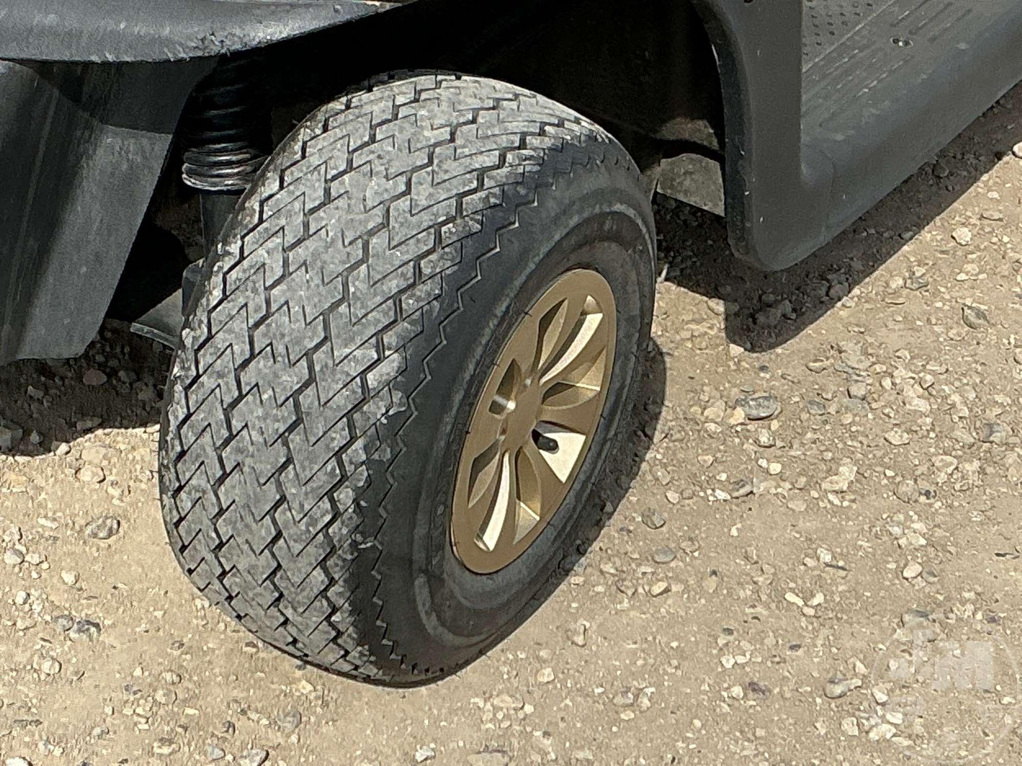 2019 EZ GO RXV GOLF CART 5505999