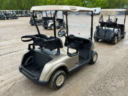 2019 EZ GO RXV GOLF CART 5506315