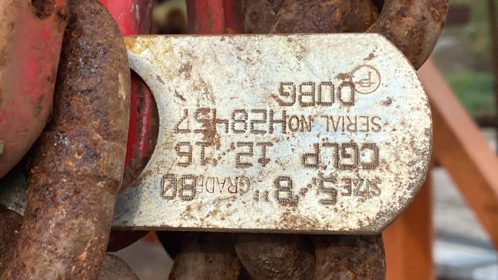 Hoisting Chain