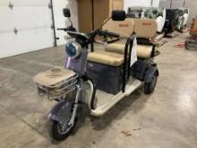 IRGC40 Mini Golf Cart*