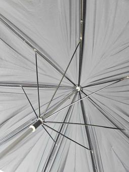 AUTHENTIC EUROPEAN CANE UMBRELLA, PLUS