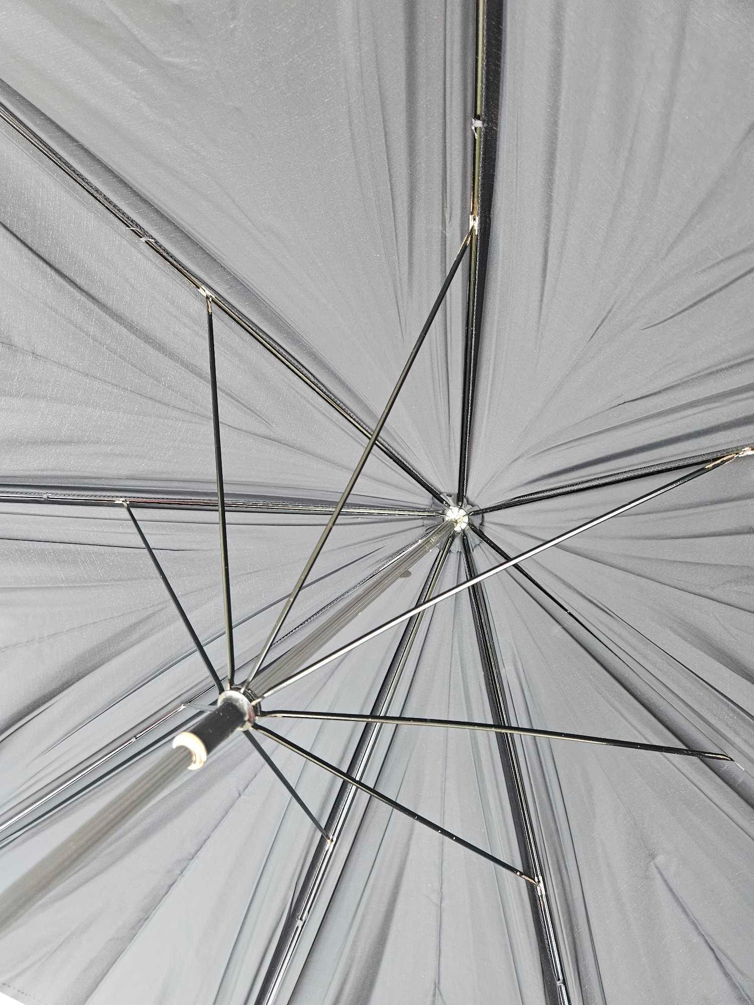 AUTHENTIC EUROPEAN CANE UMBRELLA, PLUS