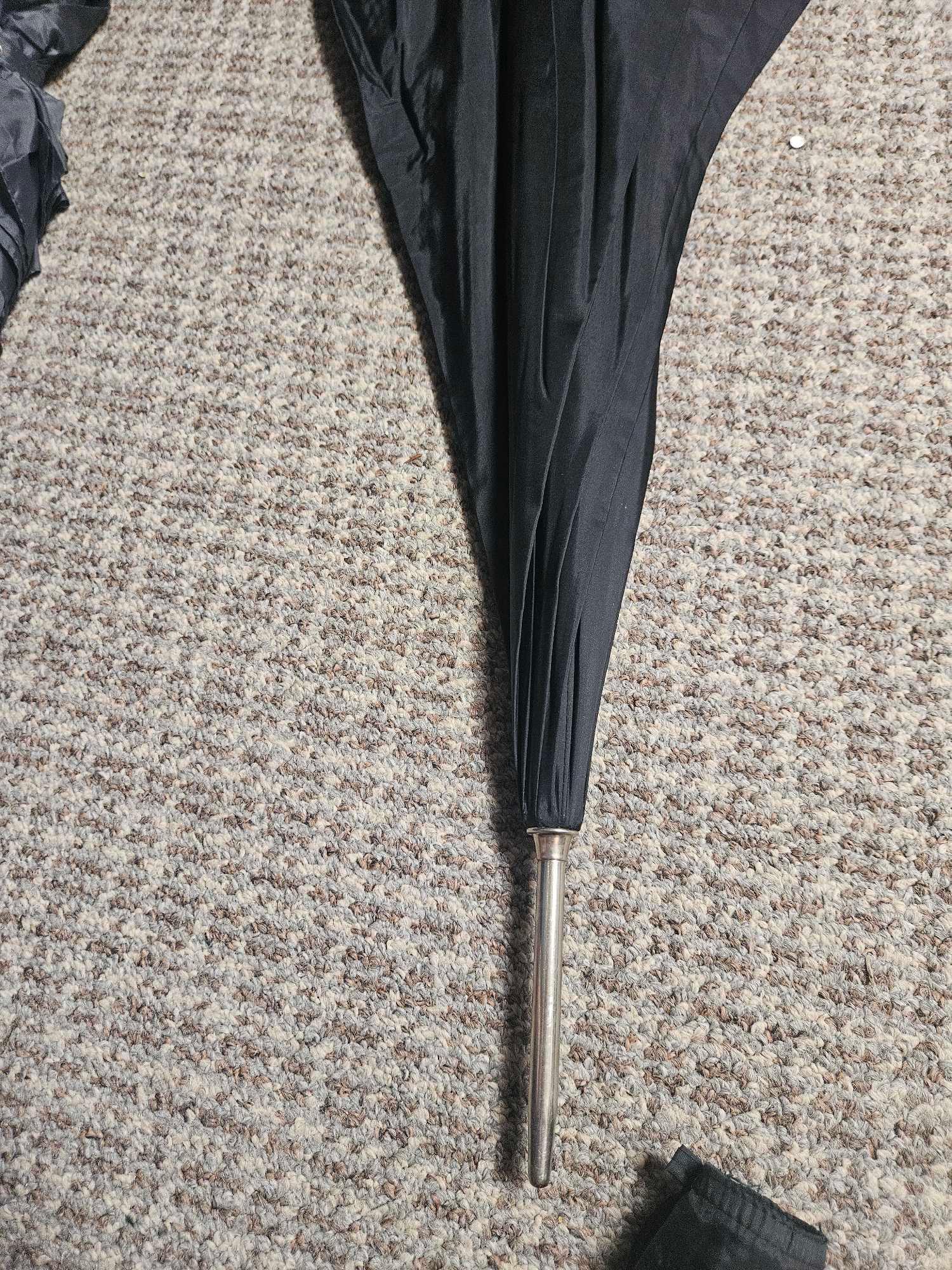 AUTHENTIC EUROPEAN CANE UMBRELLA, PLUS