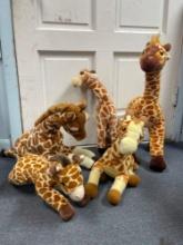 BOX OF GIRAFFES PLUSH TOYS, FAO, Geoffrey Toys R Us, Animal Alley