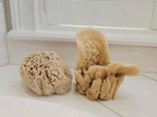 2 SEA SPONGE BATH SPONGES