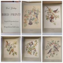 (5) LARGE 1960s Cecil Golding Bird Prints