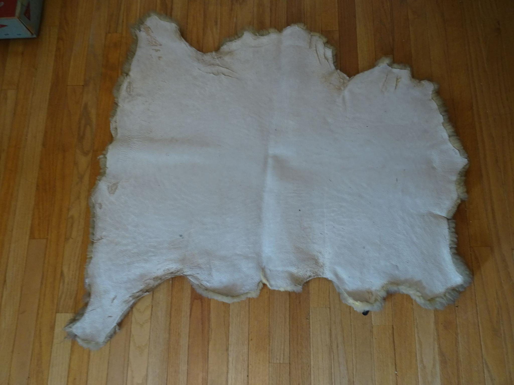 Dress Form and Sheepskin
